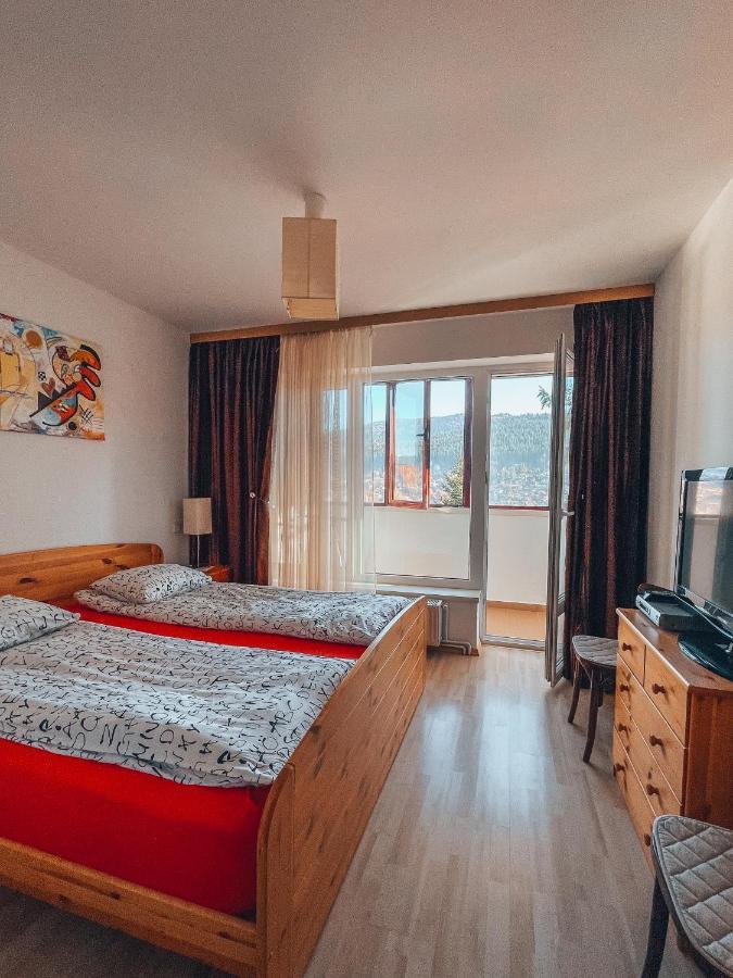 Sebiana Apartment Buşteni Exterior foto